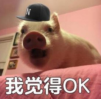 ȫojbkǿ2